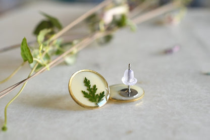 Green Leaf Stud Earrings - Surgical Steel Post Earrings - Dried Flowers Earrings - Real Flower Jewelry